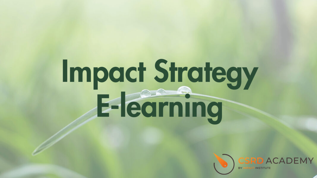 Impact Strategy E-learning